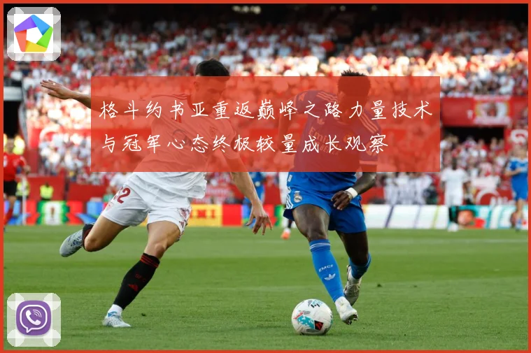 格斗约书亚重返巅峰之路力量技术与冠军心态终极较量成长观察