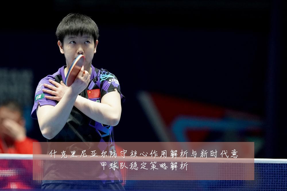 什克里尼亚尔防守核心作用解析与新时代意甲球队稳定策略解析